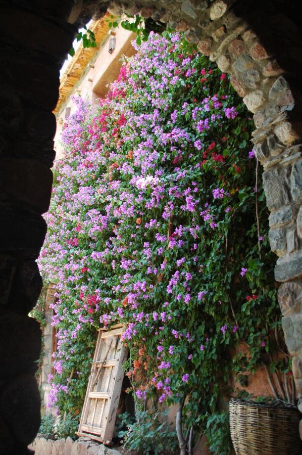 Auberge Chez Momo II เวียร์เกน ภายนอก รูปภาพ